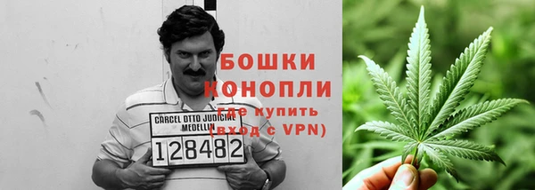 Альфа ПВП Абаза