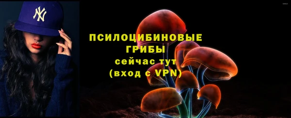 ешки Алзамай