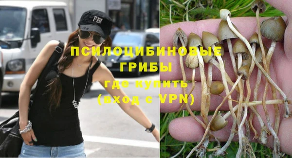 Альфа ПВП Абаза