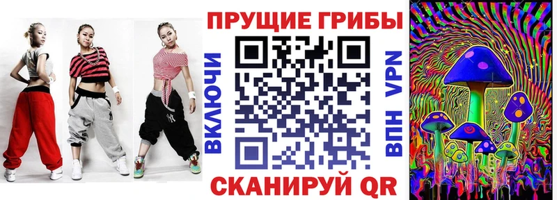 купить цена Барнаул Псилоцибиновые грибы Cubensis
