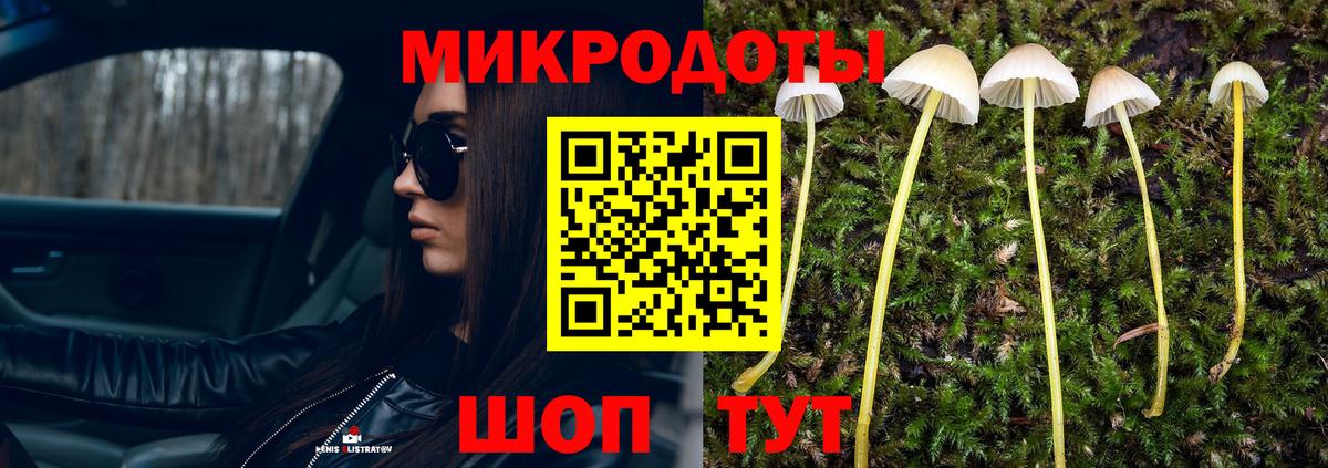 Галлюциногенные грибы прущие грибы Барнаул