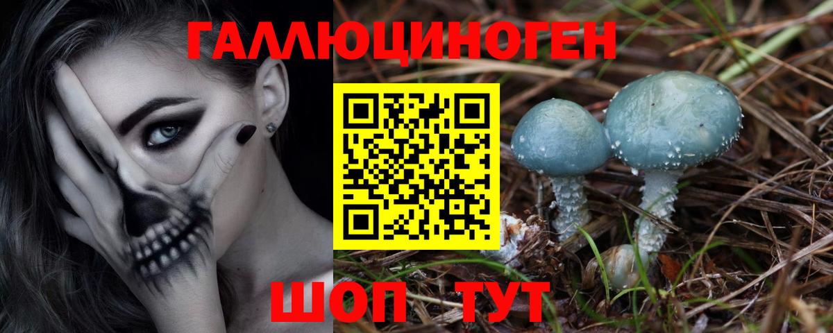 Псилоцибиновые грибы GOLDEN TEACHER  Вход с VPN  Барнаул 