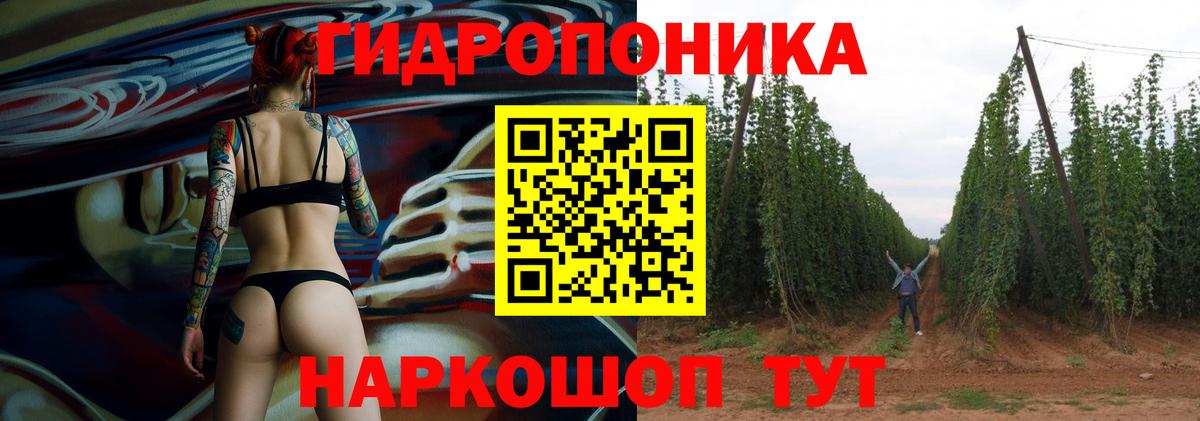 Бошки Шишки тримм Барнаул